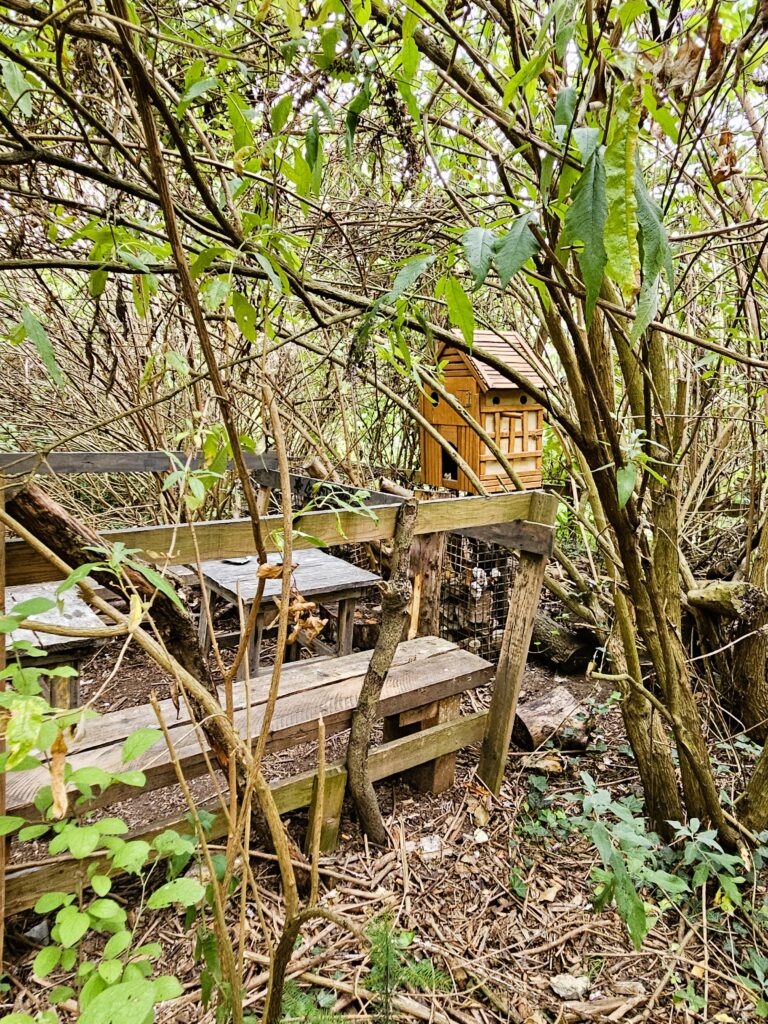 Dickicht_TEP Ménilmontant: Ein Stück wilde Natur mitten in Paris